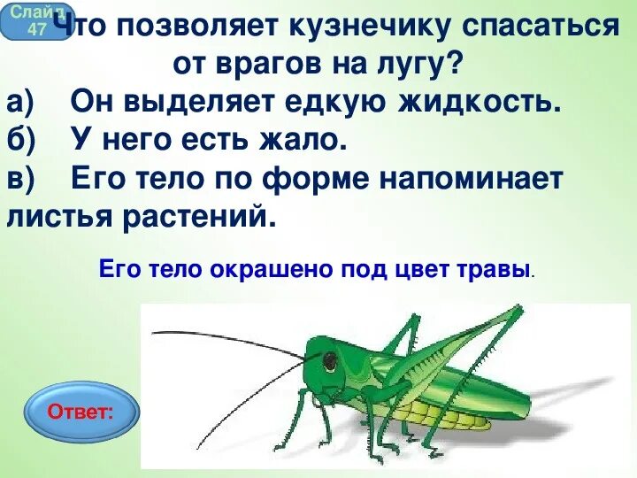 Кузнечик по украински разговорный. Как по-украински будет кузнечик. Кузнечик самка зачем сабля. Как на украинском языке кузнечик. Как на украинском языке кузнечик.