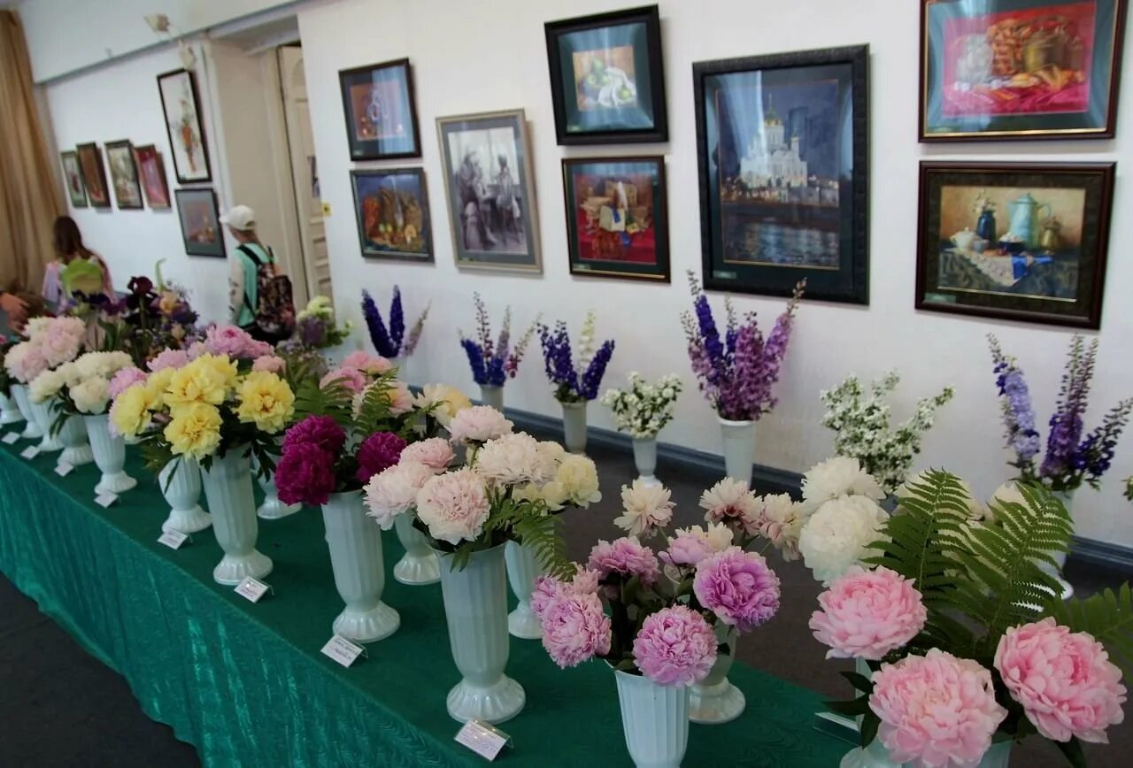 Выставка цветов в Коломне в доме Озерова. Выставка цветы. Цветы в музее. Музей цветов.