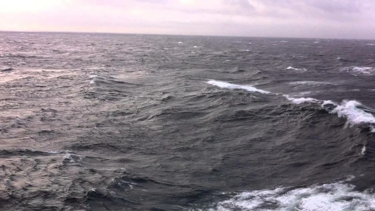 Поэтому черное балтийское красное море. Балтийское море атлантический океан. Поэтому черное балтийское красное море. Триходесмиум индийского океана. Красное море фото.
