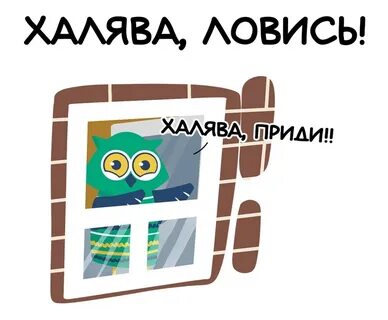 Халява приди перед экзаменом