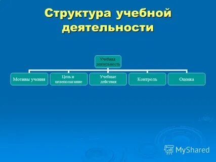 Структура учебной деятельности студента