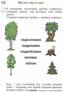 Вокруг называть