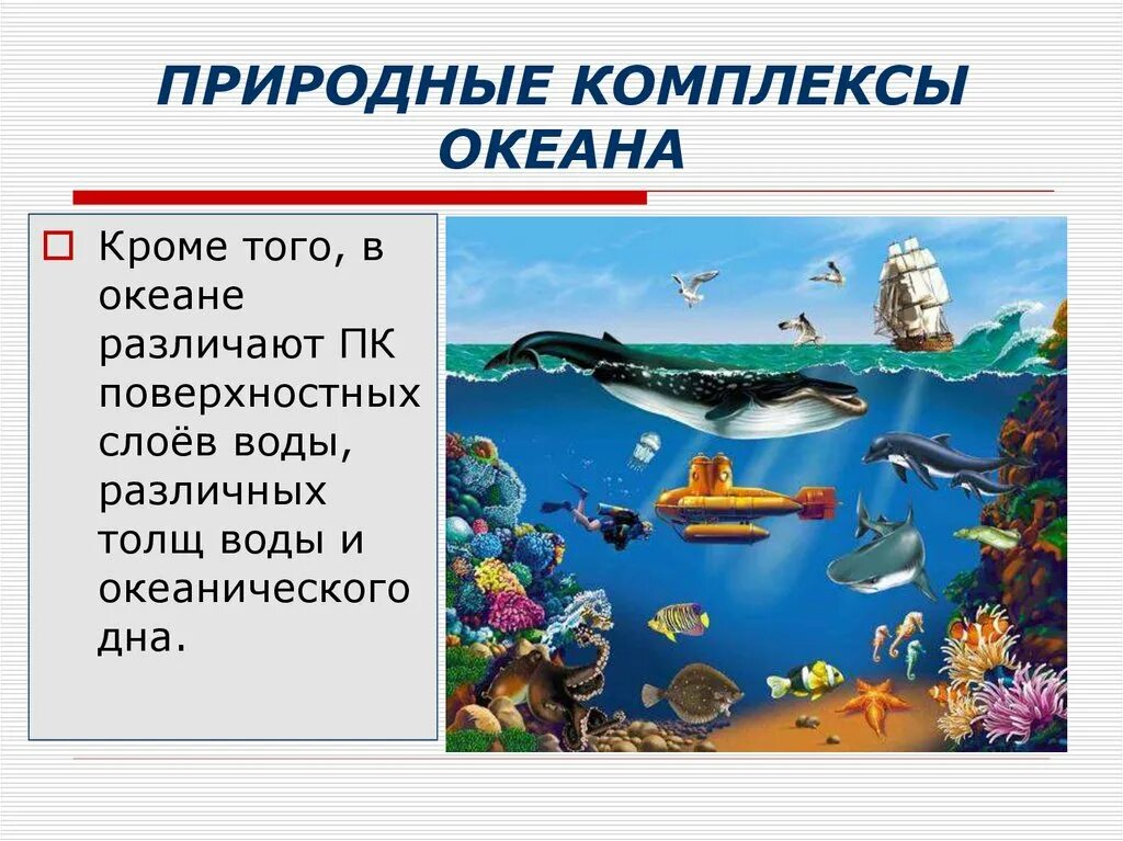 Жизнь в океане конспект 7 класс