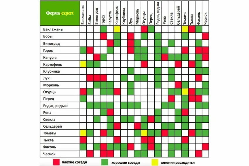 Соседство 18. Соседство овощей на грядках таблица совместимости растений. Таблица совместимости растений на огороде соседство овощей. Таблица сочетаемости лекарственных трав. Товарное соседство фруктов и овощей таблица Пятерочка.