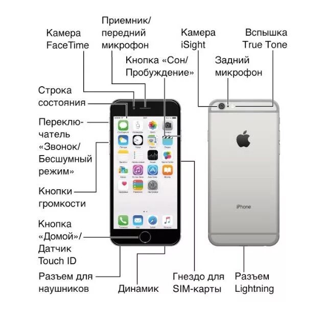 Руководство по эксплуатации айфона 8. Схема сборки айфон 5s. Схема устройства айфон 6s. Схема айфон 11. Инструкция телефона айфона