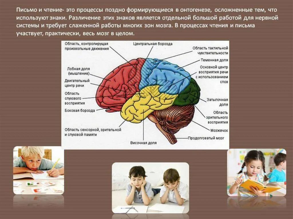 Восприятие в онтогенезе. Зоны мозга при дисграфии. Нейропсихология мозг. Зоны головного мозга, отвечающие за восприятия. Расстройства процессов чтения и письма.