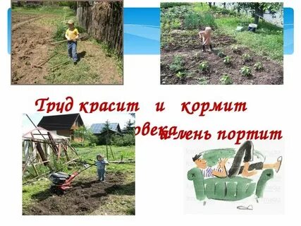Труд красит