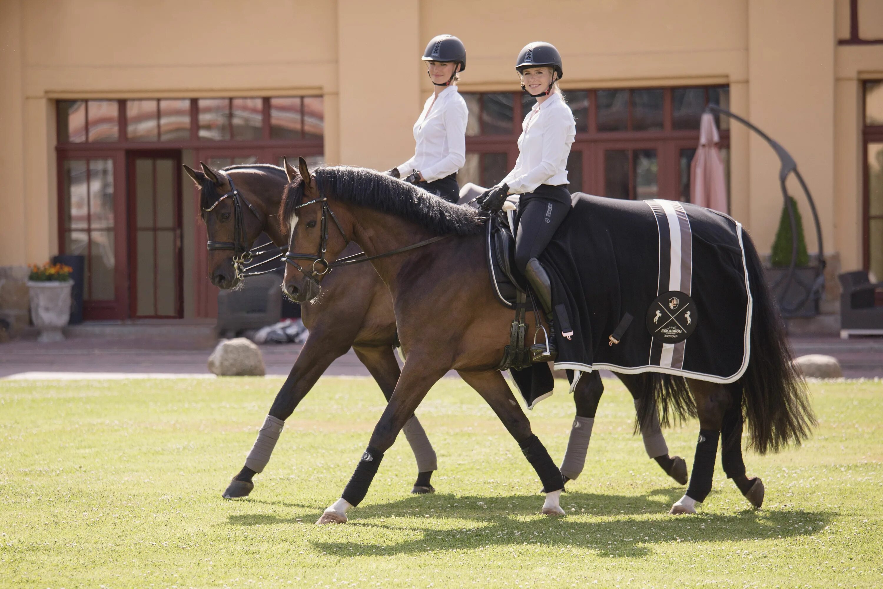 Наездник лучшие. Эскадрон. Heritage лошадь. Eskadron Equestrian. Eskadron Heritage розовое золото.