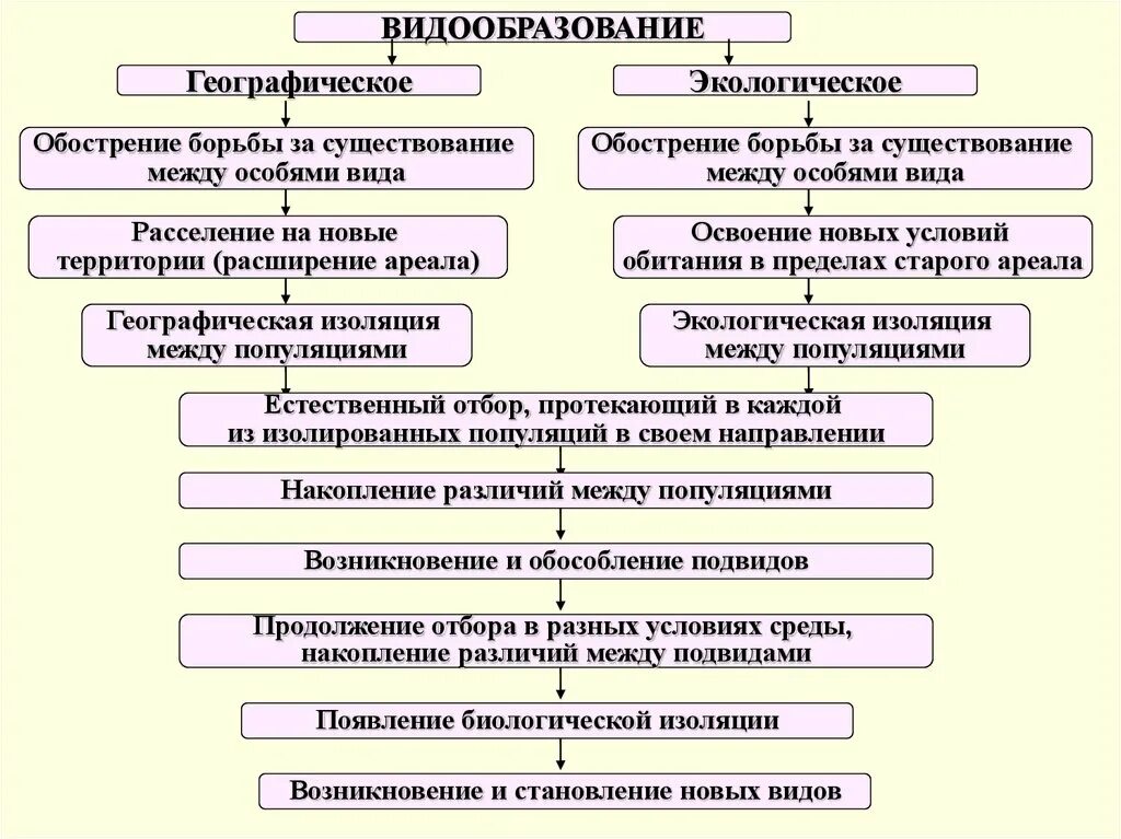 Алгоритм популяции