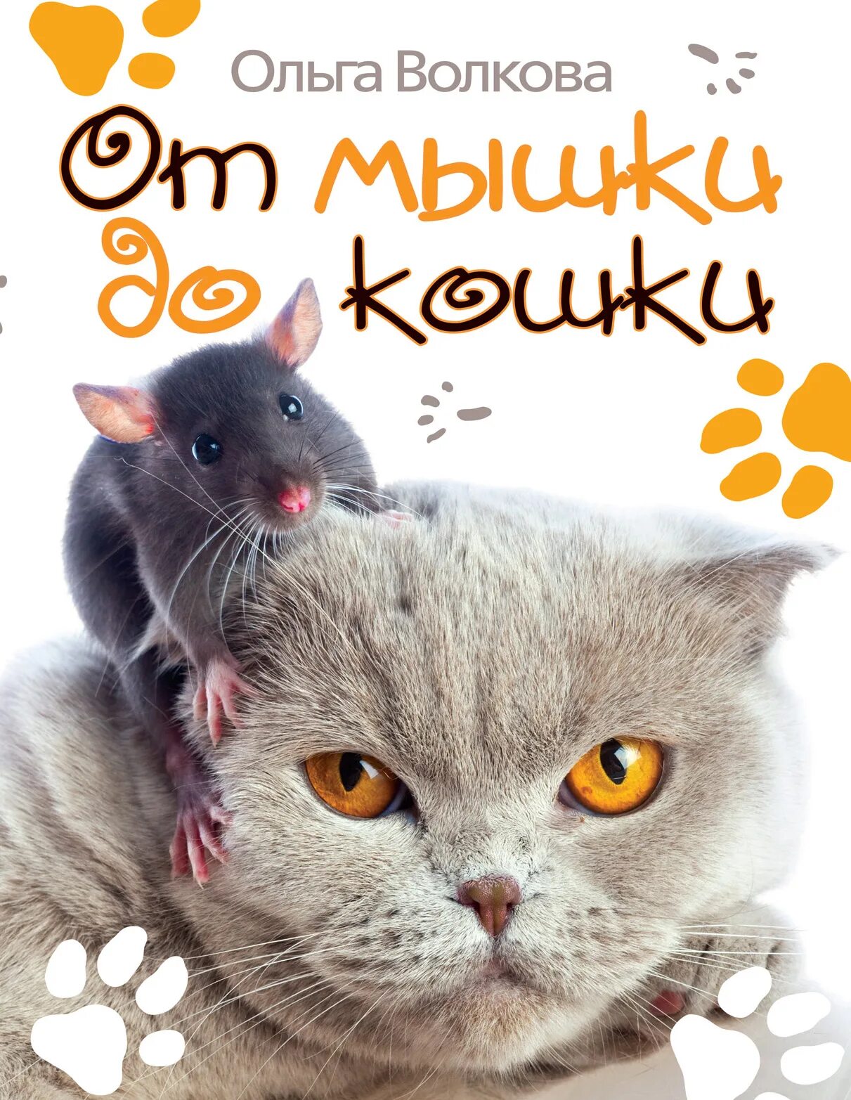 Мышки до кошки 20 шагов. Книга от мышки до кошки. кошки-мышки книга.
