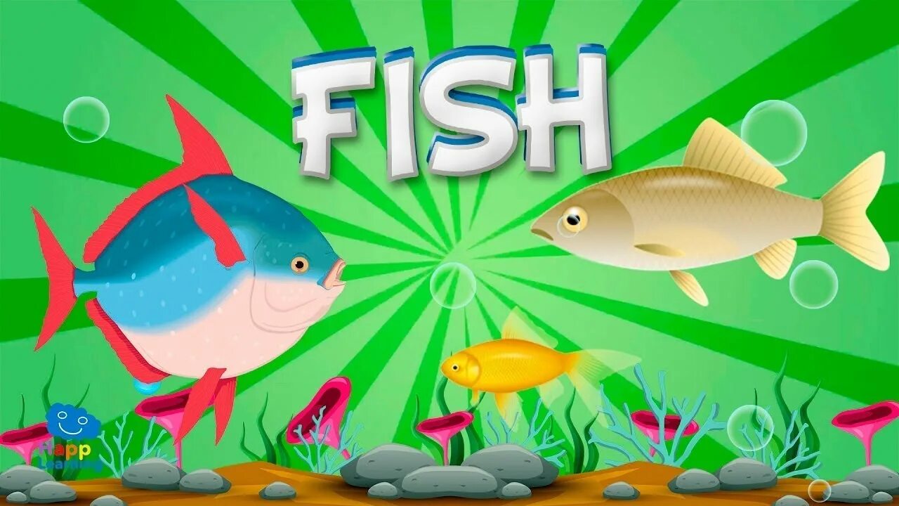 We to fish now. Скутер хау мач из зе. Рыбы видео для детей. Рыбауловка. Plurals in english.