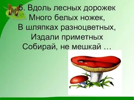 Грибы читай
