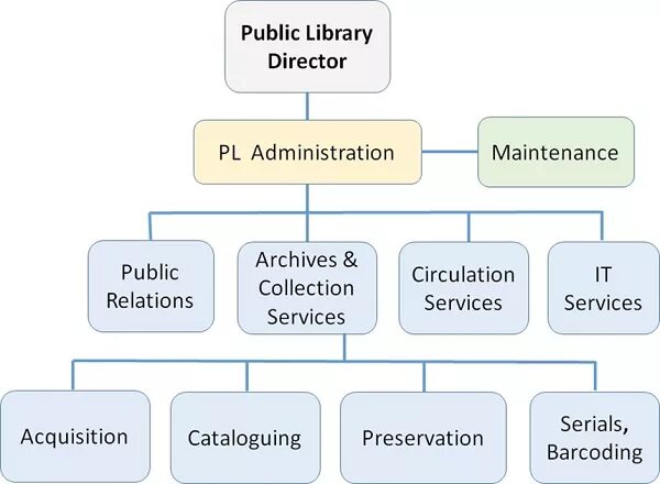 Director libraries. Структура организации библиотеки. Организационная структура библиотеки. Types of Organization's structure. Types of Organizational structure.