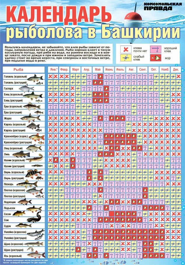 Лунный календарь на год рыболовный. Лунный календарь рыболова на 2022. Календарь хорошего клева рыбы на 2022г. Календарь клёва рыбы на 2022 год. Лунный календарь рыбака 2022 года по месяцам.