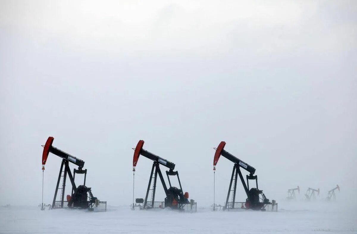 Нефтяной ростов. Нефть картинки. Нефтяная биржа. Эквадор нефтедобыча. Добыча нефти в иране.