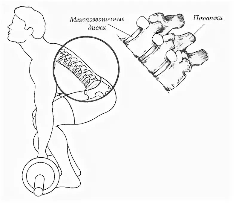 Осевые упражнения на позвоночник. Нагрузка на позвоночник. Нагрузка на межпозвонковые диски. Осевая нагрузка на позвоночник. Нагрузка на спину.