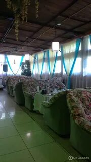 Кафе елочка