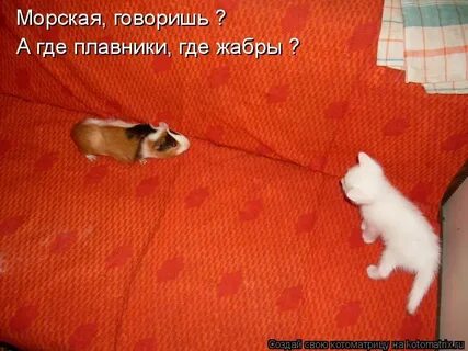 Не издавал ни звука