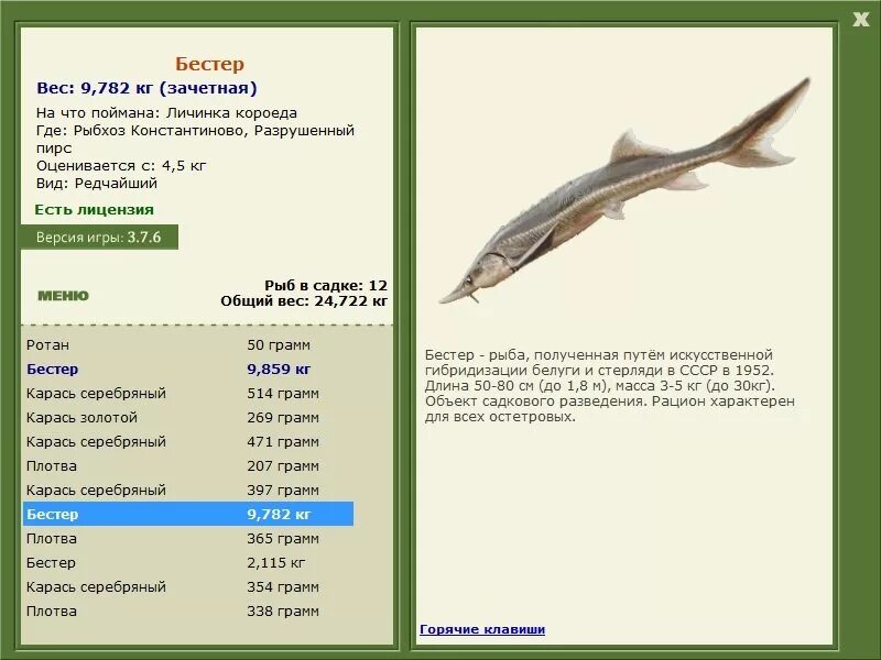 русская рыбалка 3. где ловить зачетного. русская рыбалка озеро западный затон ямки. прикормка для щуки в реальной рыбалке. вырезуб вес.