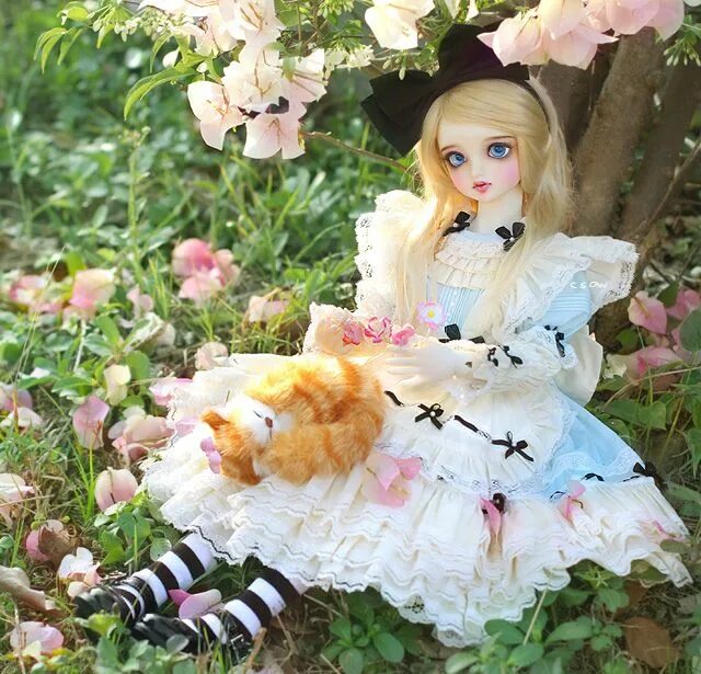 Кукла алиса в стране. Куклы bjd алиса. алиса bjd. bjd кукла алиса в стране чудес. бжд кукла алиса.