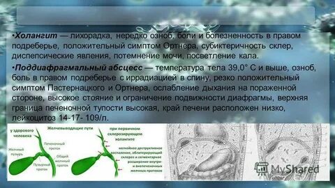 Первичный билиарный холангит клинические рекомендации