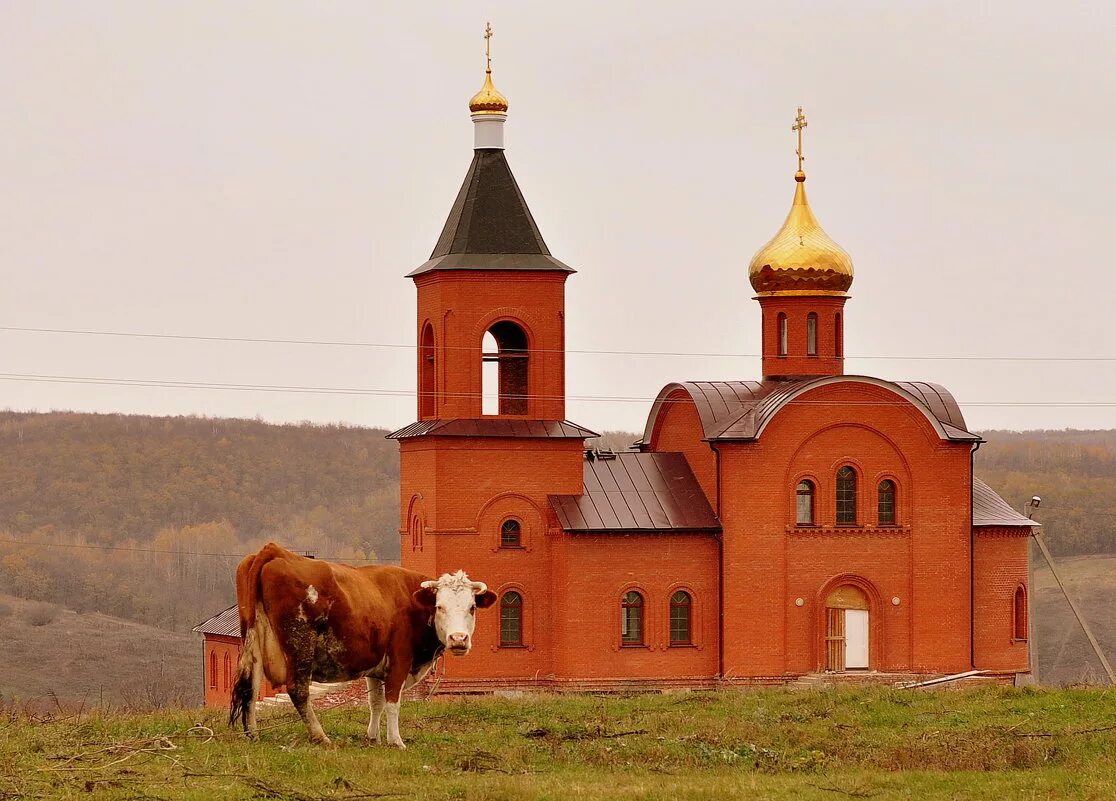 Храм Ягодная Поляна Саратов. Ягодная Поляна Татищевский район. Село Ягодная Поляна Татищевского района Саратовской области. Село Ягодная Поляна Татищевского района.