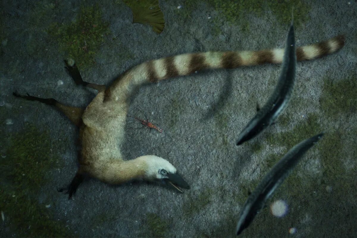 Sinosauropteryx prima. Эпидемия динозавров. Голод динозавров. Что убило динозавров