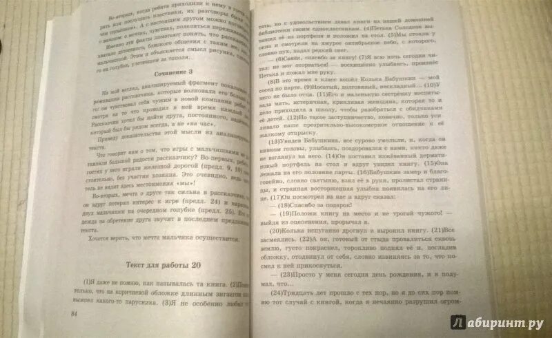 Драгоценные книги огэ шмелев. Сочинение 9.2. Сборник сочинений ОГЭ. ОГЭ русский язык сочинение. Сочинение 9 класс для ЕГЭ.