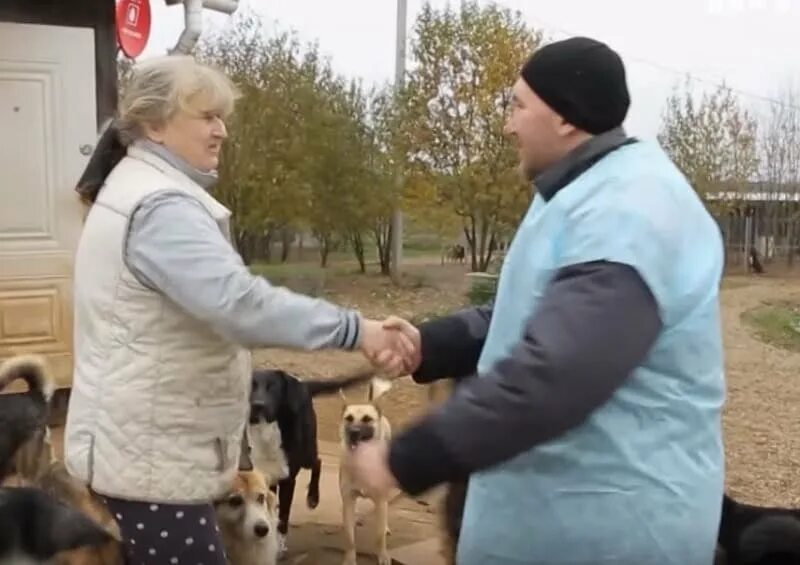 Миллионер поможет. Приют Беликовой Смоленск. Приют Натальи Беликовой Смоленск. Наталья Белякова приют. Кошачий приют в Смоленске.