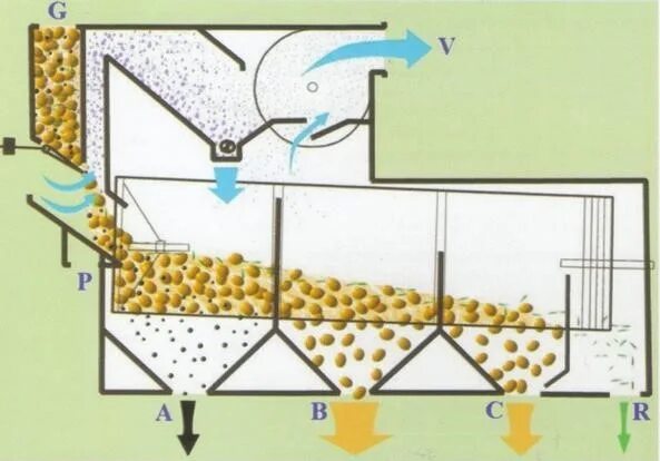 Очистка и сортировка зерна. Барабанный сепаратор для очистки зерна схема. Воздушно ситовой сепаратор схема. Воздушно -ситовой сепаратор для зерна схема. Сепаратор барабанный для семян.