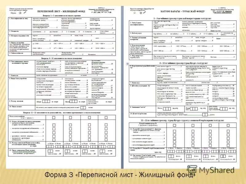 Перепись 1897 переписной лист. Перепись населения анкета. Перепись населения 2010 года в россии переписной лист. Лист переписи населения 2020 года. Перепись населения переписные листы.
