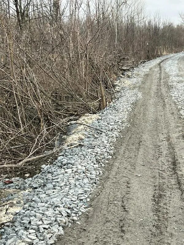 пульс дона телеграмм канал