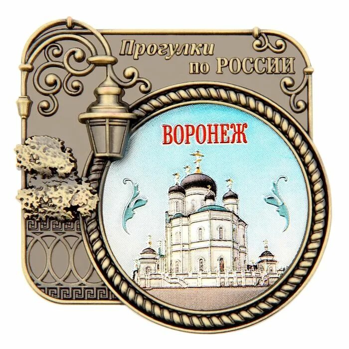 магнитики воронеж. сувенирный магнитик. сувенирные магниты из воронежа. магнитики воронеж. магниты прогулки по россии.