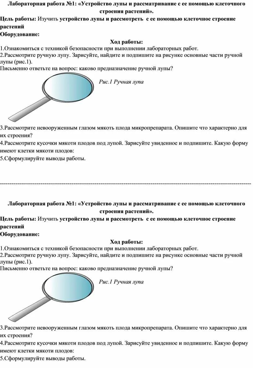 С помощью лупы можно рассмотреть. Строение лабораторной лупы. Лабораторная работа устройство лупы. Рассматривание клеточного строения растения с помощью лупы. Рассматривание клеточного строения растений с помощью лупы 5 класс.