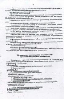 Отчет председателя совета