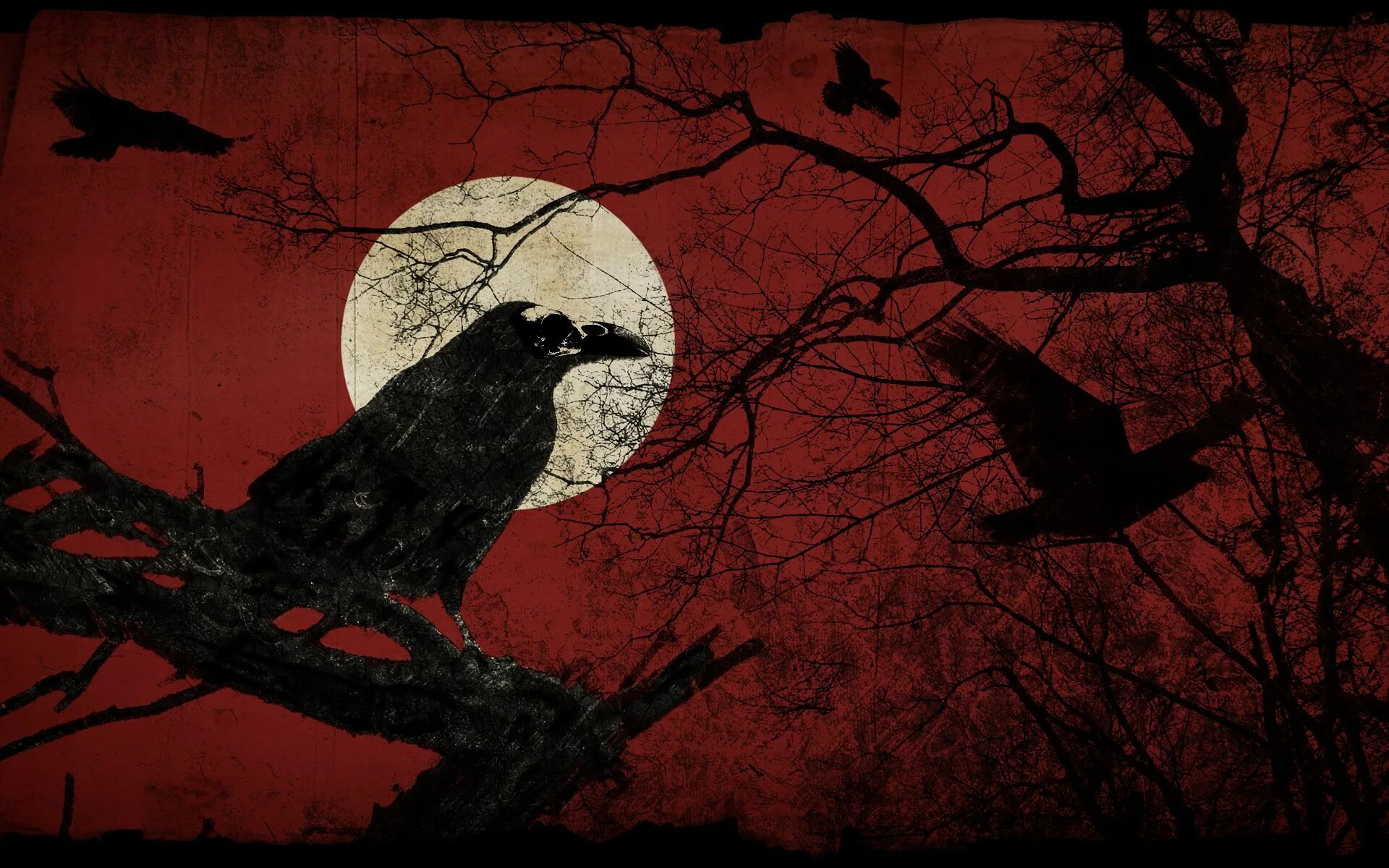 Мрачный ворон. Красный ворон. Черные вороны на Красном фоне. Ворон арт. Crow steam