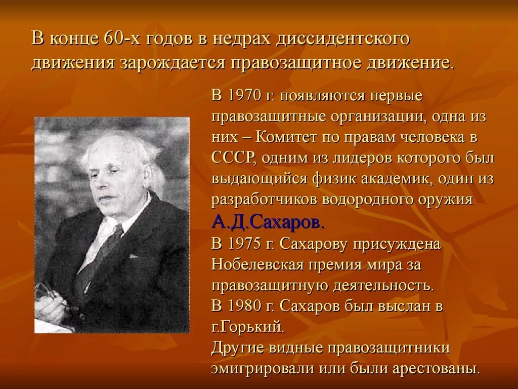 Диссидентское движение в ссср годы. Представители диссидентского движения. Правозащитное движение. Правозащитное движение диссидентов. Правозащитные организации в СССР.