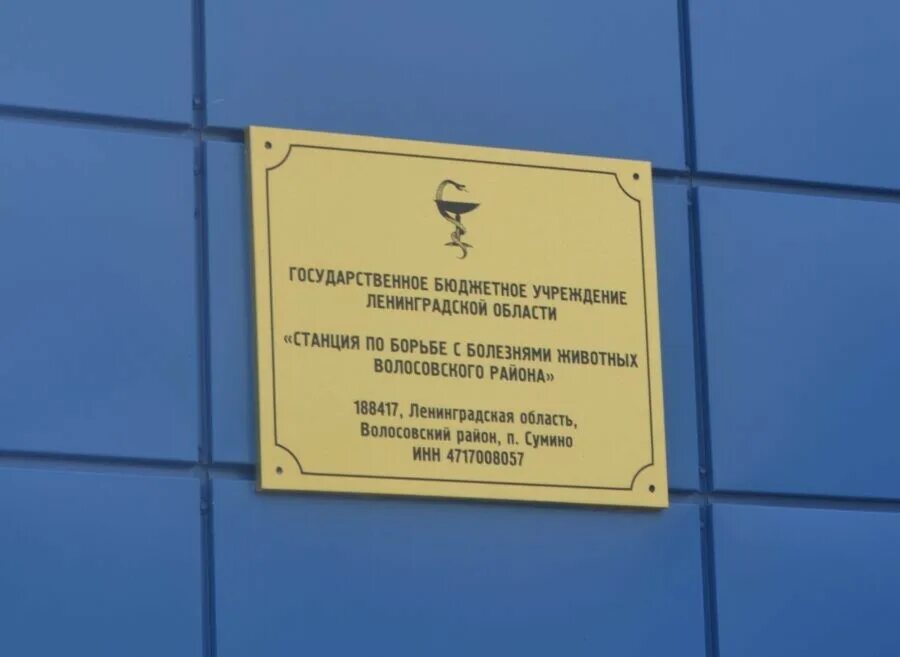 ГБУ ЛО «станция по борьбе с болезнями животных Всеволожского района». СББЖ Волосовского района. Администрация Волосово Ленинградская область. ГБУ ЛО "станция по борьбе с болезнями животных Волосовского района".