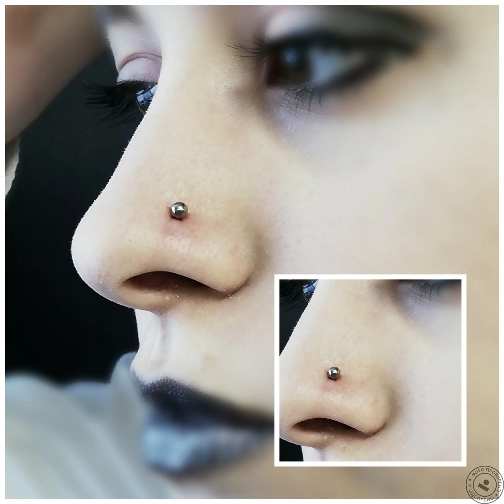Как выглядит прокол крыла носа. Прокол нострил гвоздик. Прокол носа сбоку колечко. Сережка гвоздик септум. Как выглядит прокол крыла носа.
