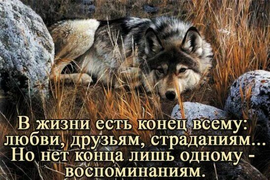 У любого конца есть начало: найдено 90 изображений