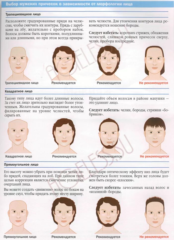 Формы голов у мужчин. Формы лица мужские. Прическа по форме головы. Подбор прически по форме лица мужчине. Грушевидный Тип лица у мужчин.