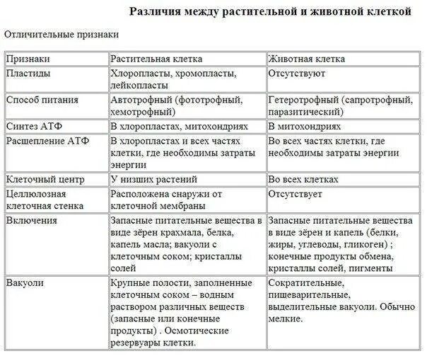 Черты различия клеток. Сравнительная таблица растительной клетки и животной клетки. Сравнение строения растительной и животной клетки таблица. Сравнительная таблица растительной и животной клетки. Сравнительная характеристика растительной и животной клетки таблица.