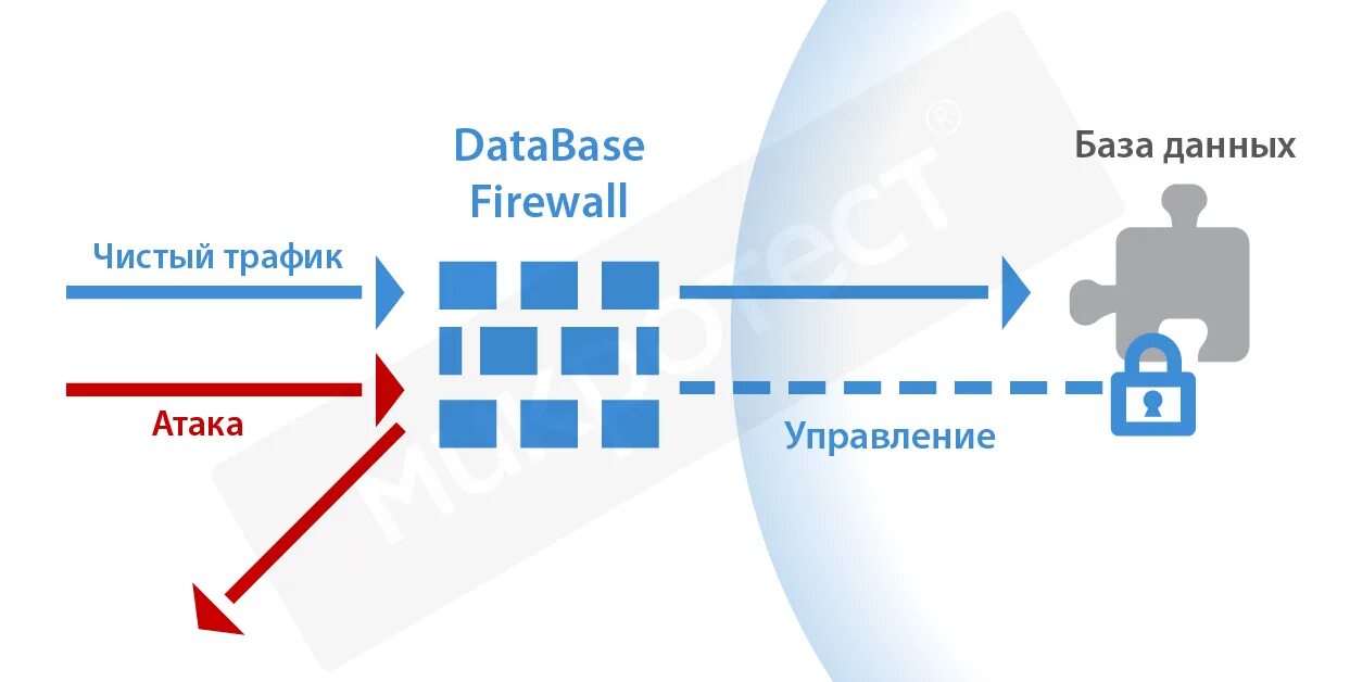 Защита баз данных. Защита баз данных в access. База данных защита информации. Защита данных в бд. Защита данных бд.
