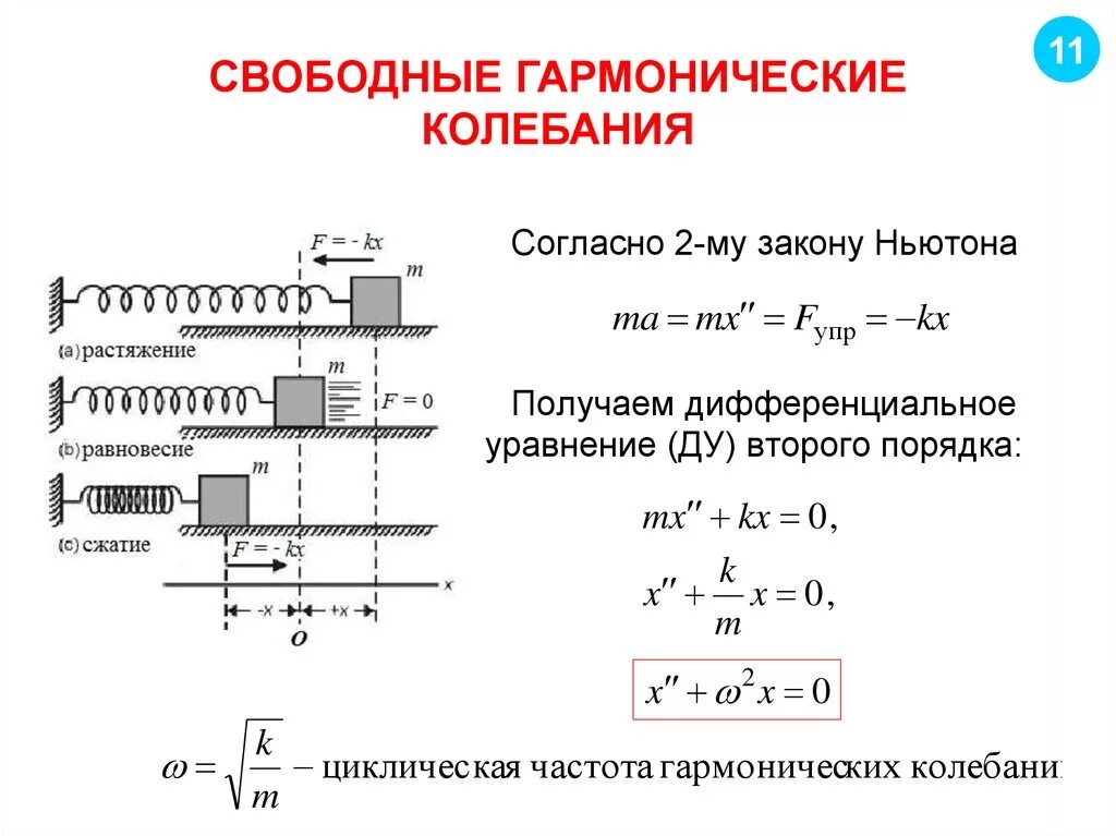 Свободные вертикальные гармонические колебания формула. Гармонические колебания и их характеристики формула. Частота свободных гармонических колебаний формула. Уравнение динамики свободных гармонических колебаний.