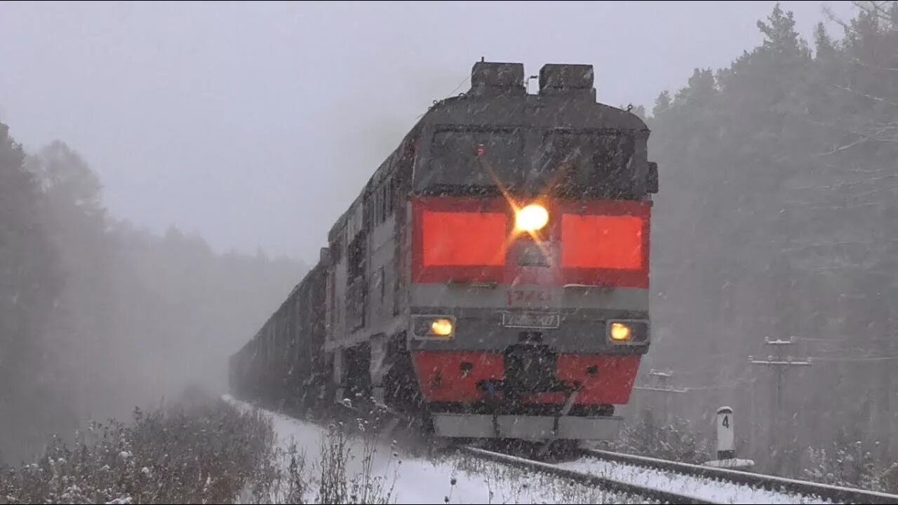 Электровоз с грузовым поездом 260. 2тэ116 1427. 2тэ116 1625. ТЧЭ Егоршино. Локомотив в Пурге.