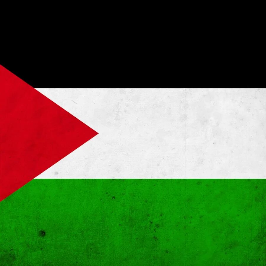 France Palestine - YouTube