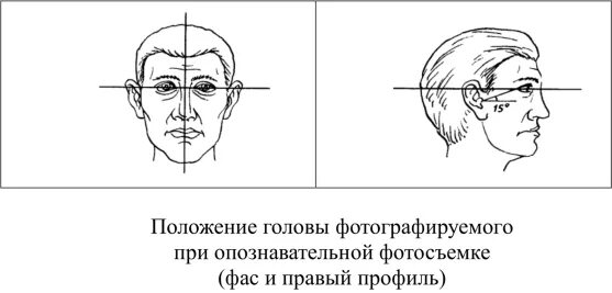 Положение затылка. Положение головы. Опознавательная съемка человека в криминалистике. Опознавательная фотосъемка в криминалистике. Опознавательная съемка схема.