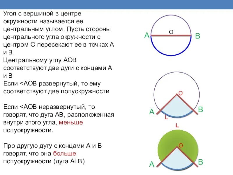 Сколько центральный угол. Центральный угол окружности. Углы в окружности. Окружность углы в окружности. Угол в центре окружности.