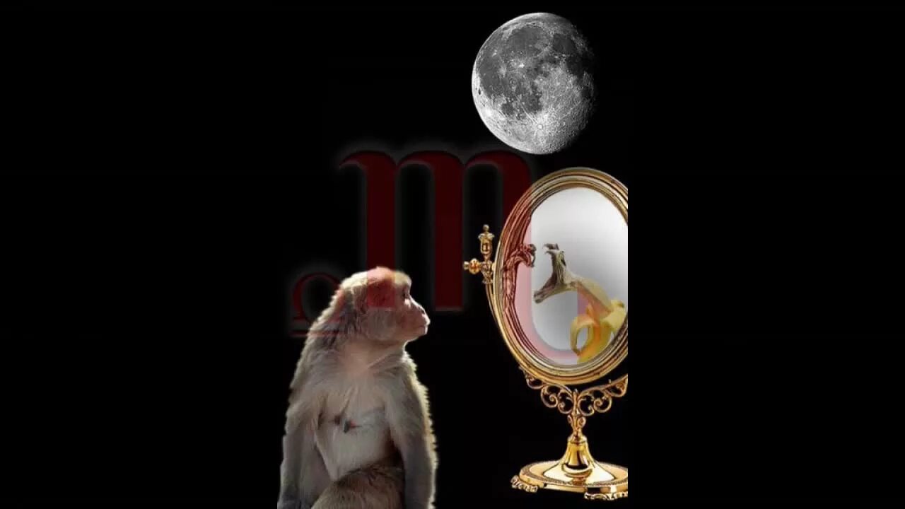 18 день луна. Зеркало 18 лунный день. Зеркало и обезьяна. Символ 18 лунного дня. 18 Лунный день обезьяна, зеркало лед.