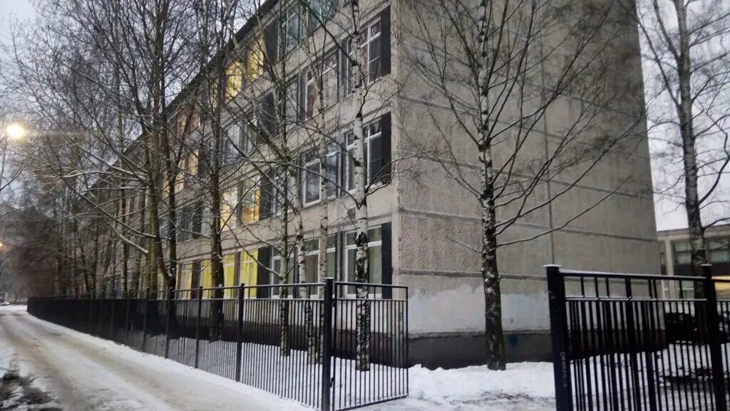 школа 455 колпинского района. 420 школа колпино. школа 520 поселок понтонный. отзывы школ колпино. 456 школа колпино.